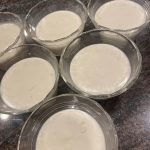 Vanilla Pudding, Vegan