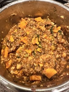 Bison and Millet One Pot Meal